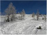 Planina Zajavornik - Brda